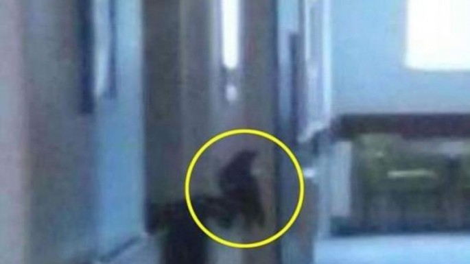 Qadın Əzrayılın şəklini çəkdiyini iddia edir -  FOTO