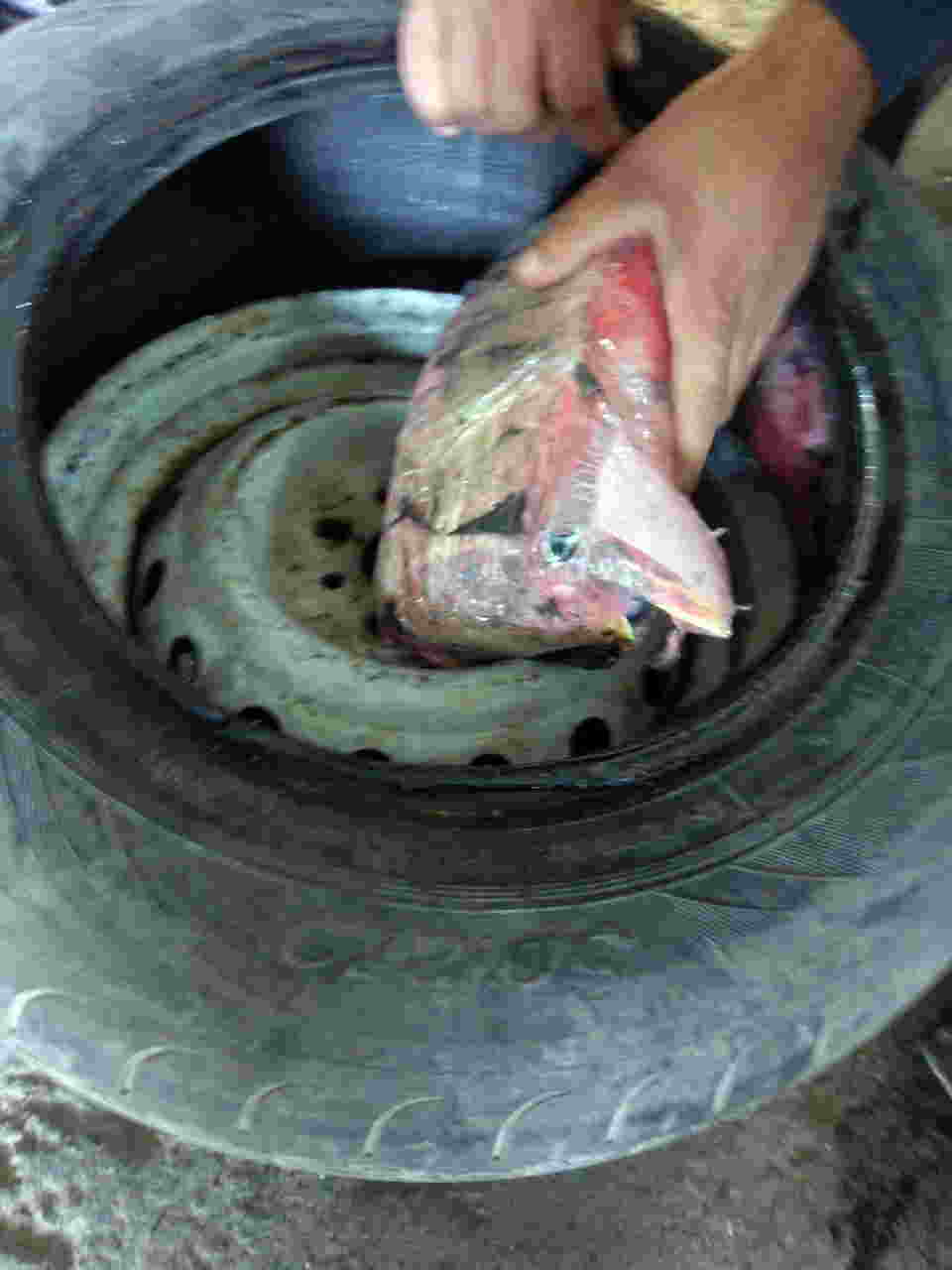 Gömrükçülər təkərin içindən görün nə çıxardı? -  FOTOLAR