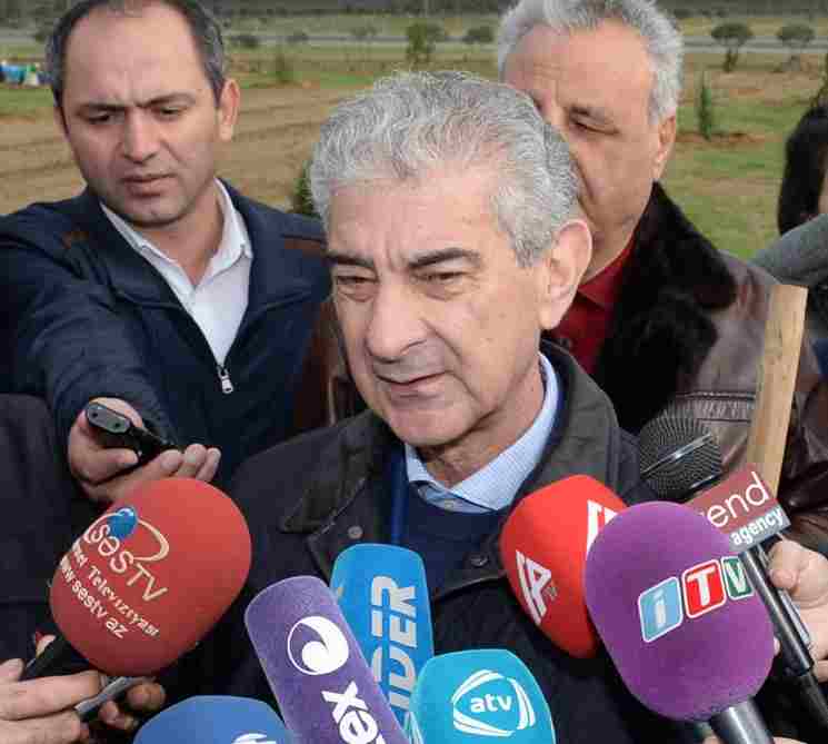 YAP rəsmiləri ağac əkdilər -  FOTOLAR