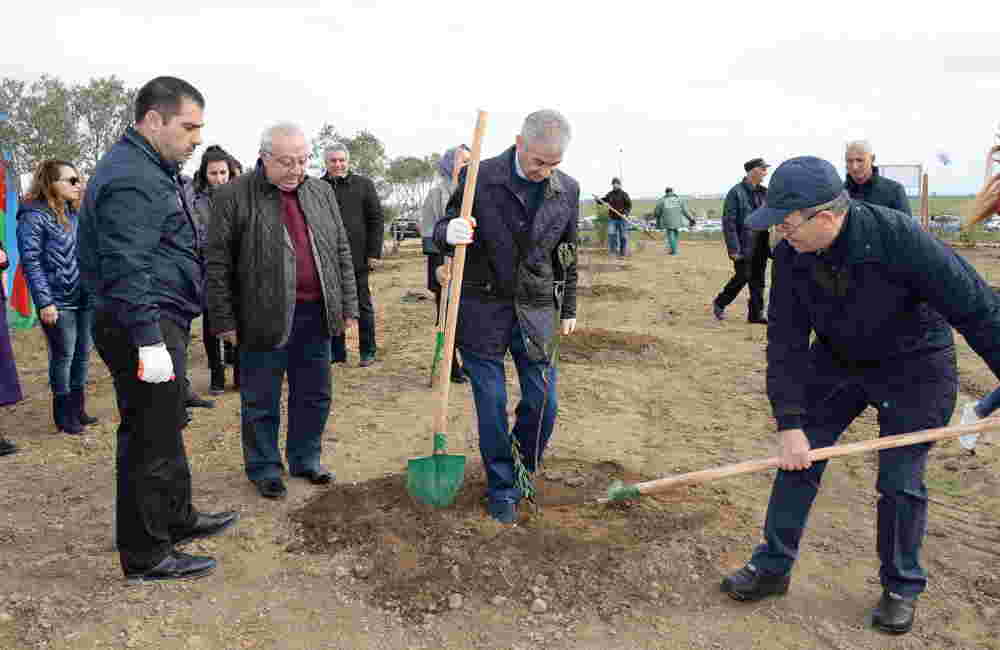 YAP rəsmiləri ağac əkdilər -  FOTOLAR