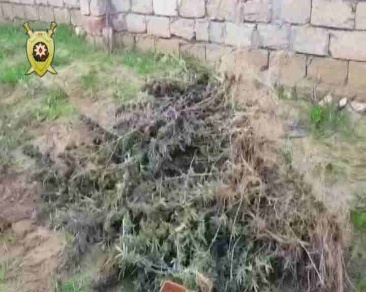 Polis Nardaranda   ƏMƏLİYYAT KEÇİRDİ (FOTO-VİDEO)