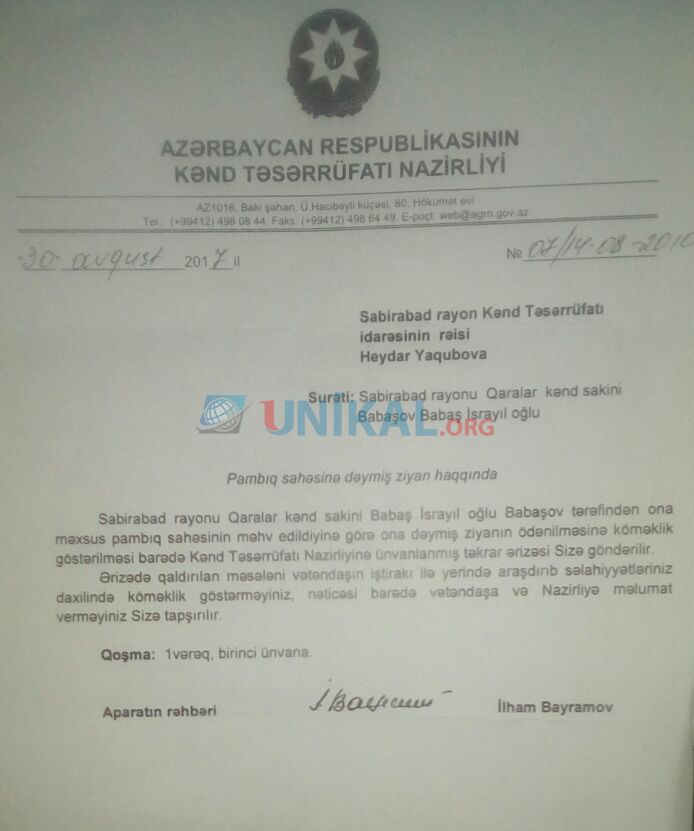 Nazirlik 3 hektar pambıq sahəsini ŞUMLATDIRDI -  İcra başçısının müavini kompensasiya vermədi (VİDEO)