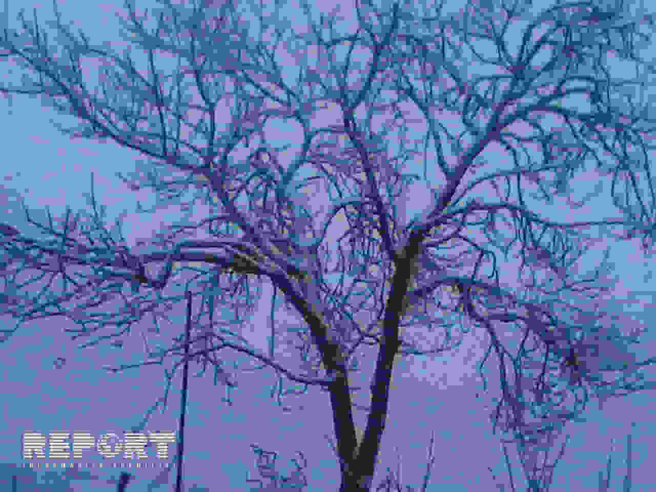 Azərbaycanda ilk qar yağıb -  FOTOLAR