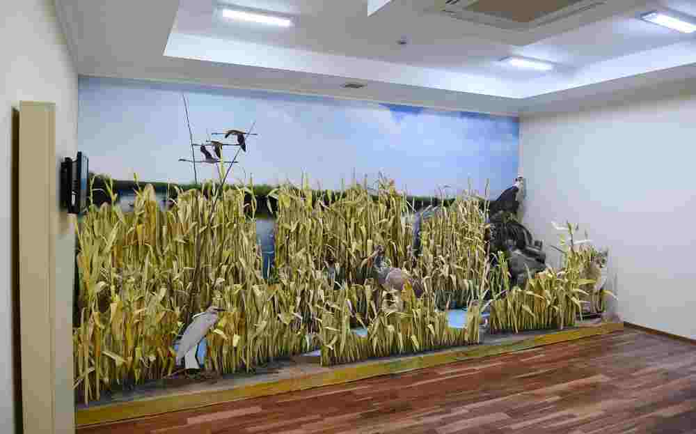 İlham Əliyev Ağcabədiyə getdi - FOTO