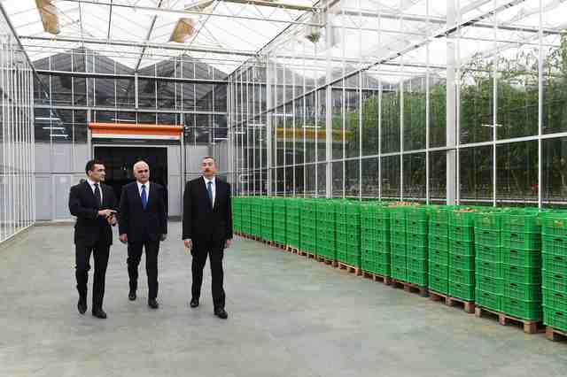 İlham Əliyev   aqroparkda (YENİLƏNİB-FOTOLAR)
