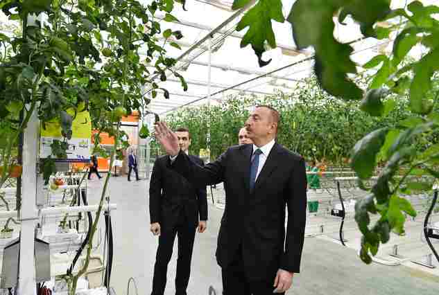İlham Əliyev   aqroparkda (YENİLƏNİB-FOTOLAR)