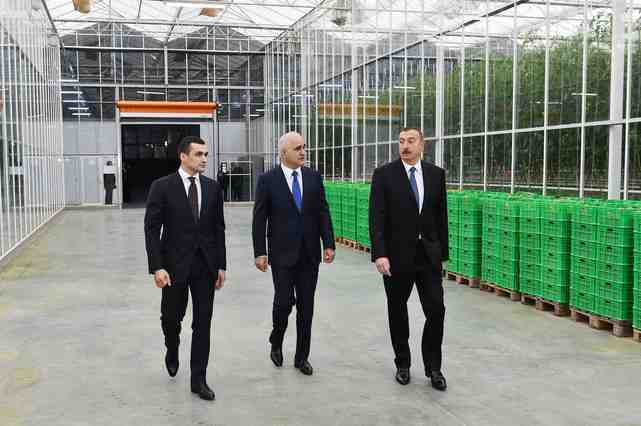 İlham Əliyev   aqroparkda (YENİLƏNİB-FOTOLAR)