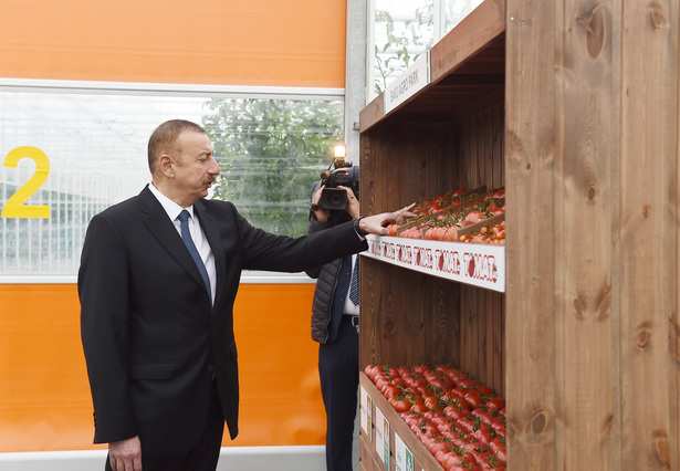 İlham Əliyev   aqroparkda (YENİLƏNİB-FOTOLAR)