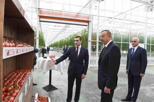 İlham Əliyev   aqroparkda (YENİLƏNİB-FOTOLAR)