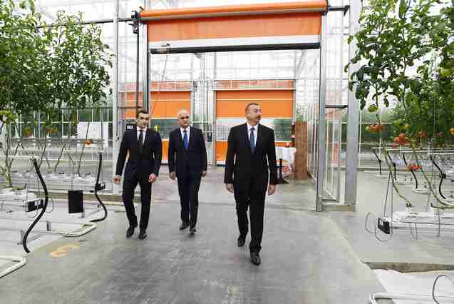 İlham Əliyev   aqroparkda (YENİLƏNİB-FOTOLAR)