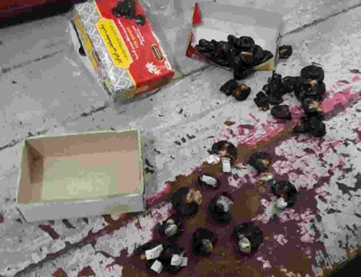 Dustağa gətirilən xurmadan heroin çıxdı - FOTO 