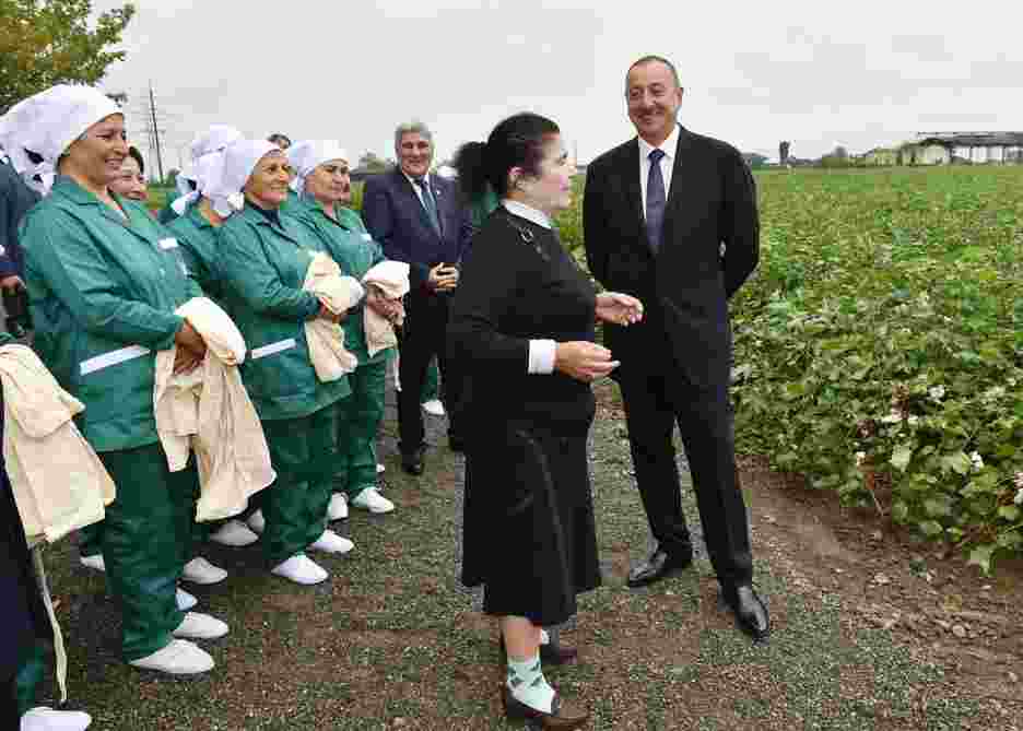 Prezident məşhur pambıqçı qadını mükafatlandırdı -  FOTOLAR