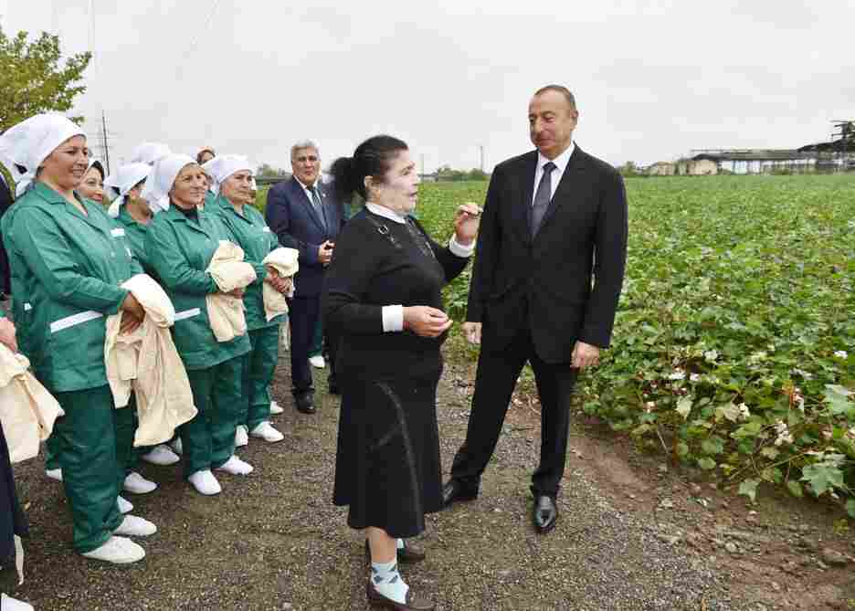 Prezident məşhur pambıqçı qadını mükafatlandırdı -  FOTOLAR