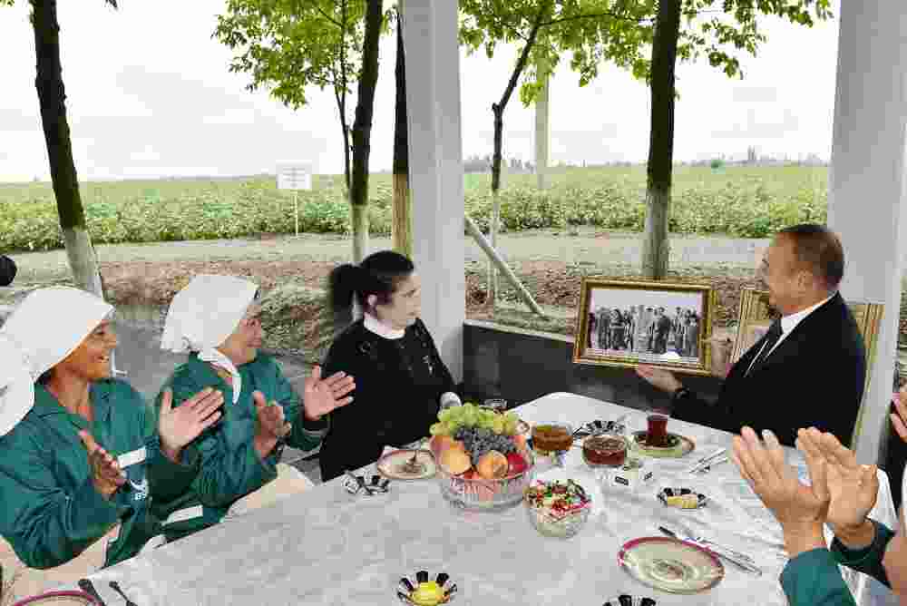 Prezident məşhur pambıqçı qadını mükafatlandırdı -  FOTOLAR