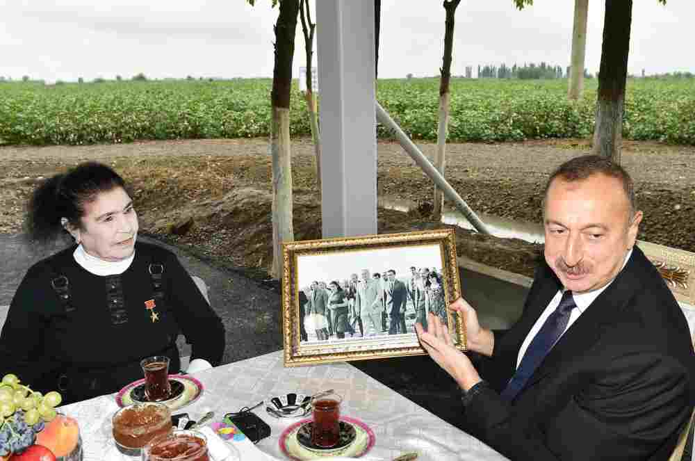 Prezident məşhur pambıqçı qadını mükafatlandırdı -  FOTOLAR