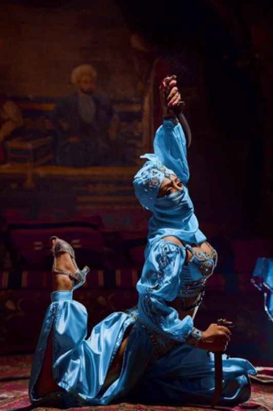 Cəmi bir gecə üçün 100 min dollar ... -   Vəzifəli şəxsdən rəqqasəyə intim təklif (FOTOLAR)