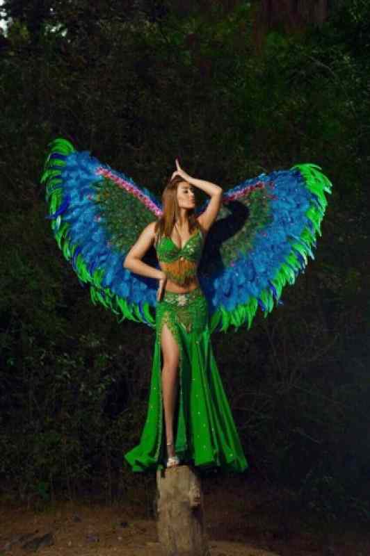 Cəmi bir gecə üçün 100 min dollar ... -   Vəzifəli şəxsdən rəqqasəyə intim təklif (FOTOLAR)