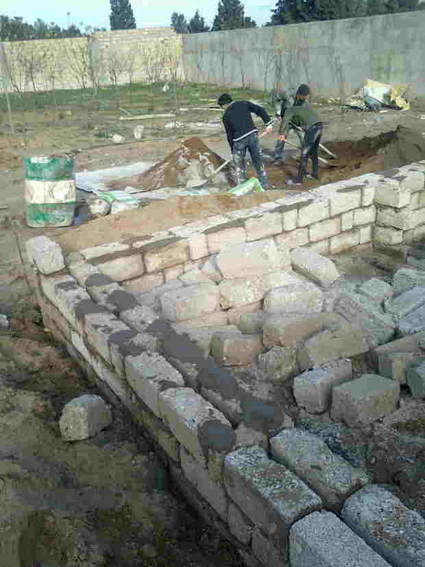 Suraxanıda 2.5 hektarlıq meşə sahəsi ələ keçirildi:  Ağaclar qırılır, ərazidə villa tikilir (FOTOLAR)