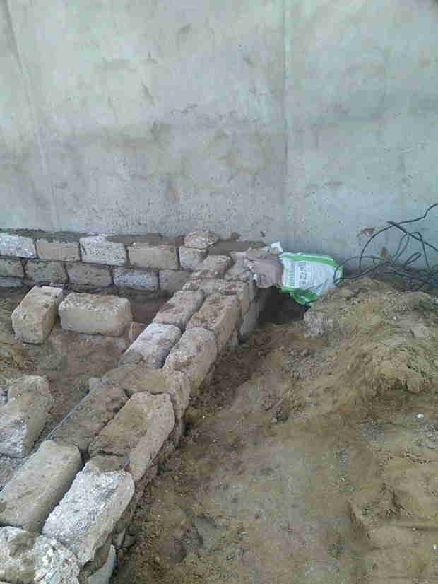 Suraxanıda 2.5 hektarlıq meşə sahəsi ələ keçirildi:  Ağaclar qırılır, ərazidə villa tikilir (FOTOLAR)