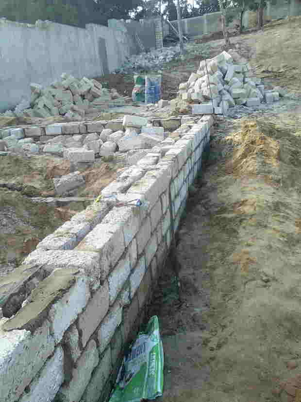 Suraxanıda 2.5 hektarlıq meşə sahəsi ələ keçirildi:  Ağaclar qırılır, ərazidə villa tikilir (FOTOLAR)