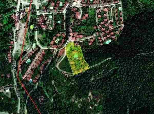 Meşənin ortasında 1 milyona ev aldı - FOTO