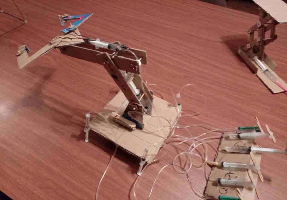 Qubalı qardaşlar hidravlik üsulla robotlar düzəltdilər -  FOTOLAR