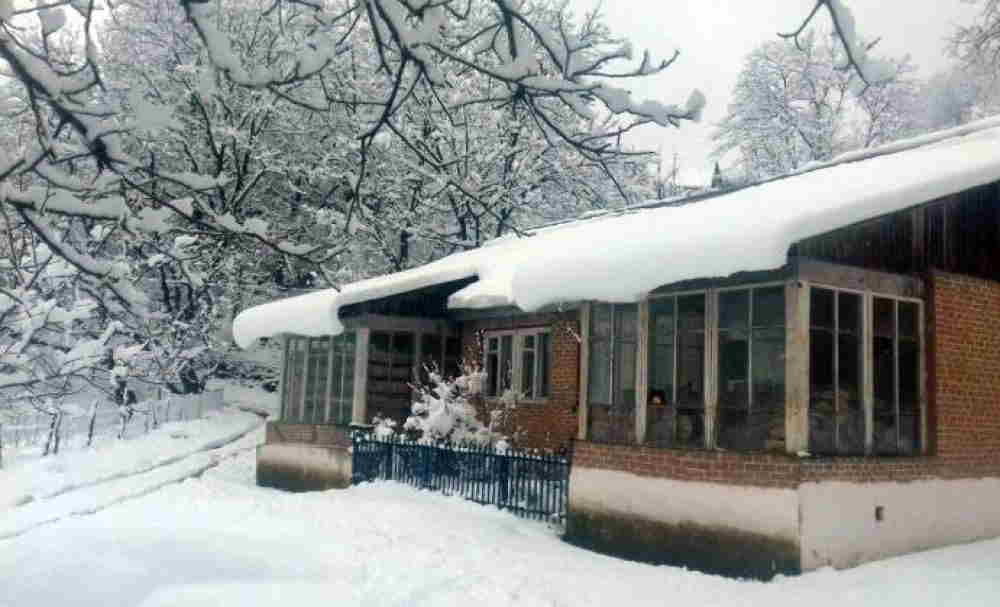 Yağan qar Lerikdə yolları bağladı -  FOTOLAR