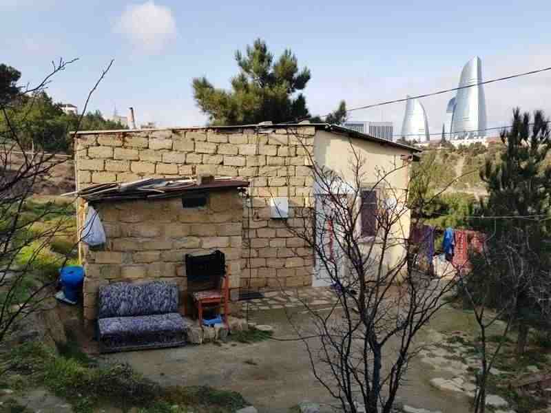 Yaponiyadan Bayıla mütəxəssis çağırıldı   - FOTOLAR