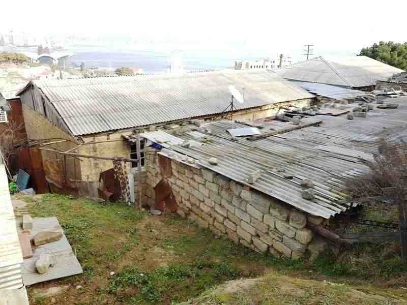 Yaponiyadan Bayıla mütəxəssis çağırıldı   - FOTOLAR