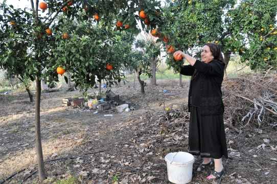 İnəyini satıb, özünə kompüter alan məktəb müəlliməsi -  FOTOLAR