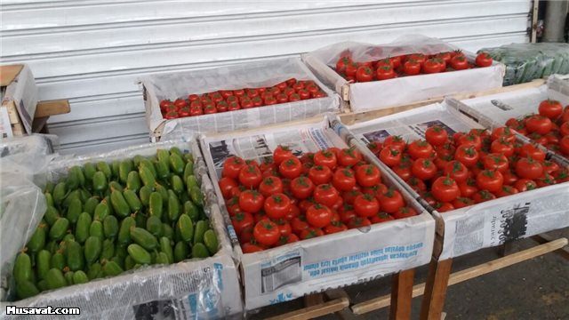 Bayramdan sonra bazardakı QITLIQ:  Bəzi məhsullar 2 dəfə bahalaşdı - FOTOLAR