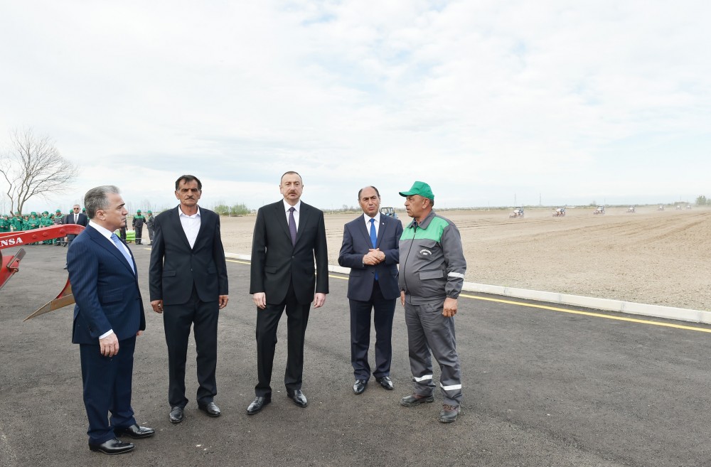 Ayda 300-350 manat maaş alırıq, yaxşı dolanırıq -  Prezident pambıqçılarla söhbətləşdi - FOTOLAR (YENİLƏNİB -1)