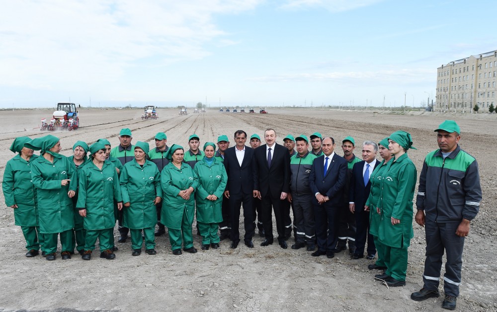 Ayda 300-350 manat maaş alırıq, yaxşı dolanırıq -  Prezident pambıqçılarla söhbətləşdi - FOTOLAR (YENİLƏNİB -1)