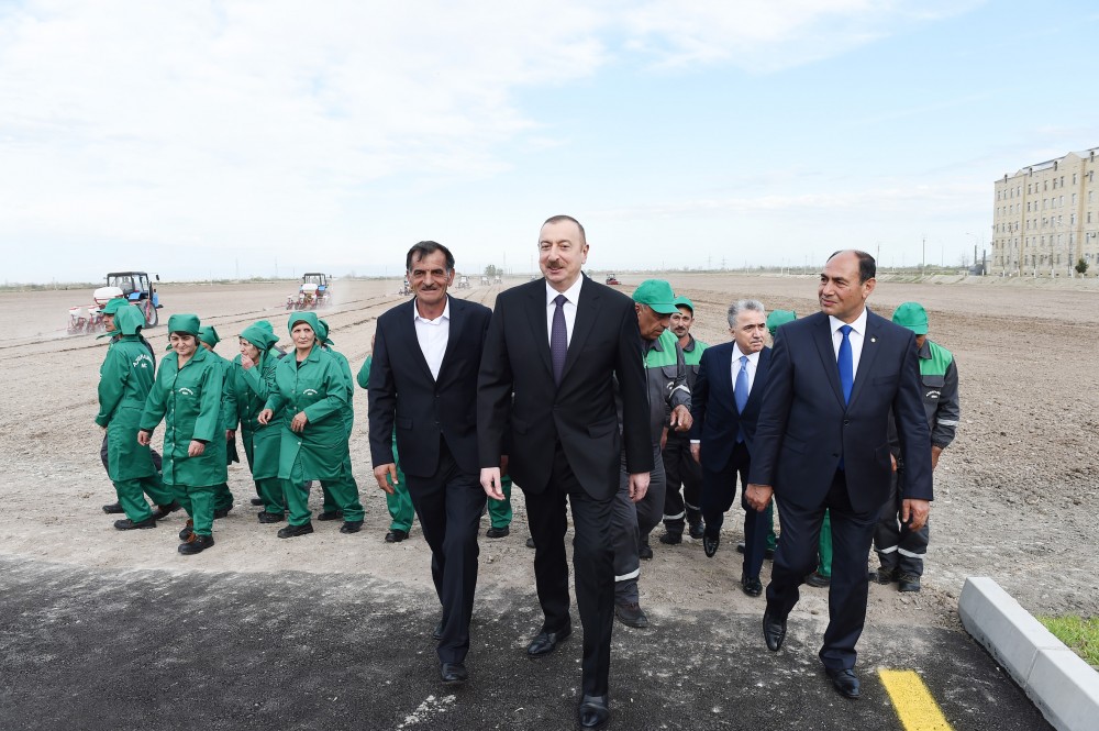 Ayda 300-350 manat maaş alırıq, yaxşı dolanırıq -  Prezident pambıqçılarla söhbətləşdi - FOTOLAR (YENİLƏNİB -1)