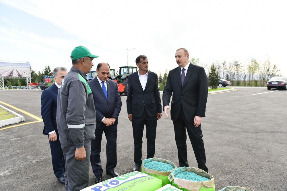 Ayda 300-350 manat maaş alırıq, yaxşı dolanırıq -  Prezident pambıqçılarla söhbətləşdi - FOTOLAR (YENİLƏNİB -1)