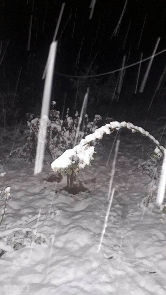  Bu rayona 16 sm. hündürlüyündə qar yağdı - FOTO