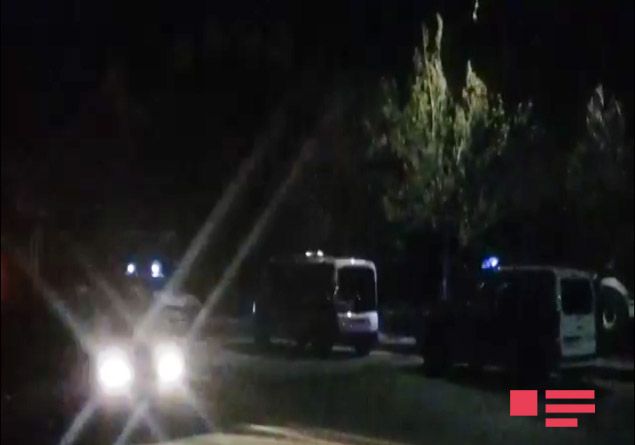 Qanunsuz ağac kəsənlər saxlanıldı - FOTO