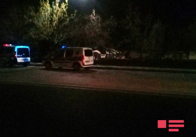 Qanunsuz ağac kəsənlər saxlanıldı - FOTO