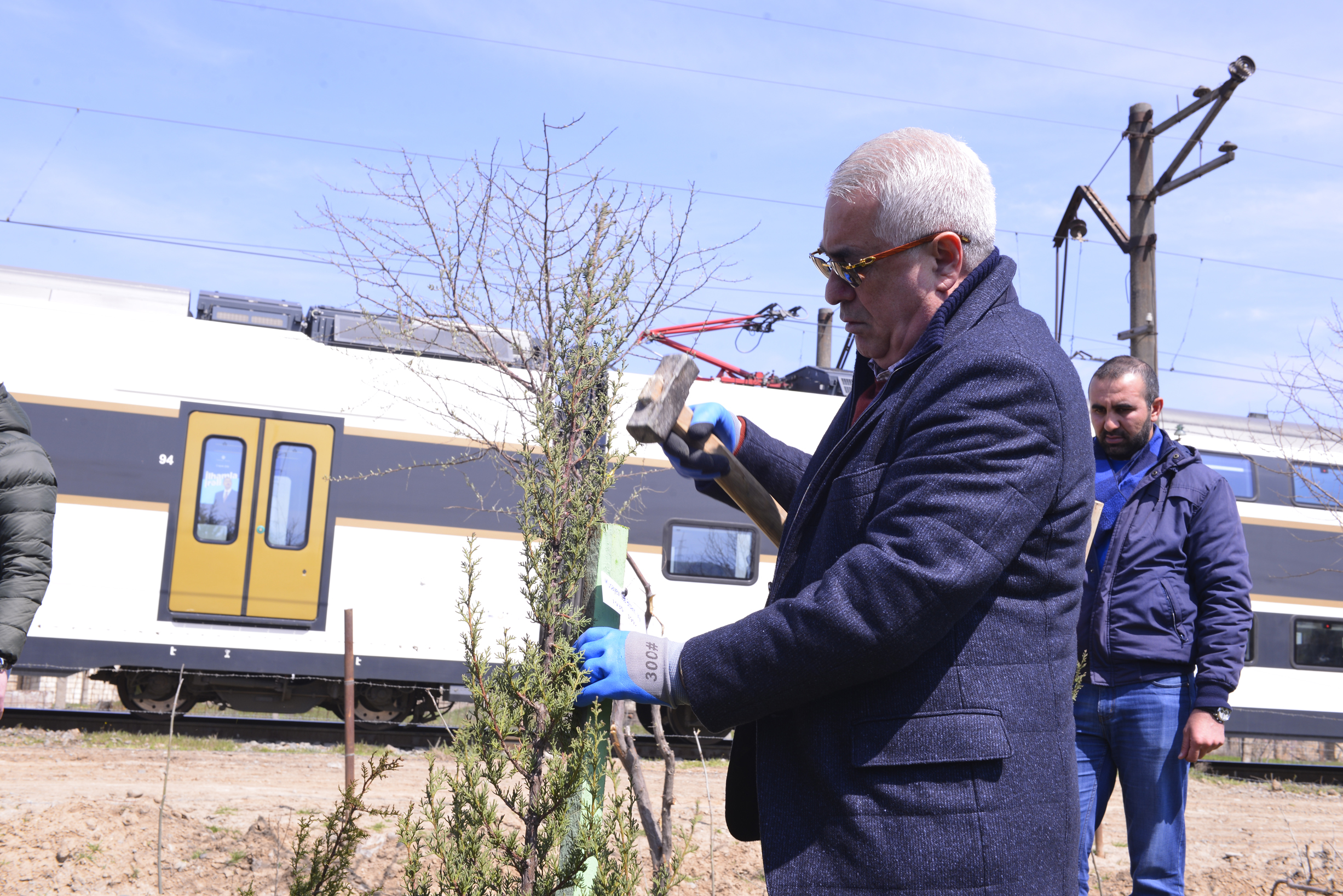 Cavid Qurbanov ağac əkdi - FOTOLAR