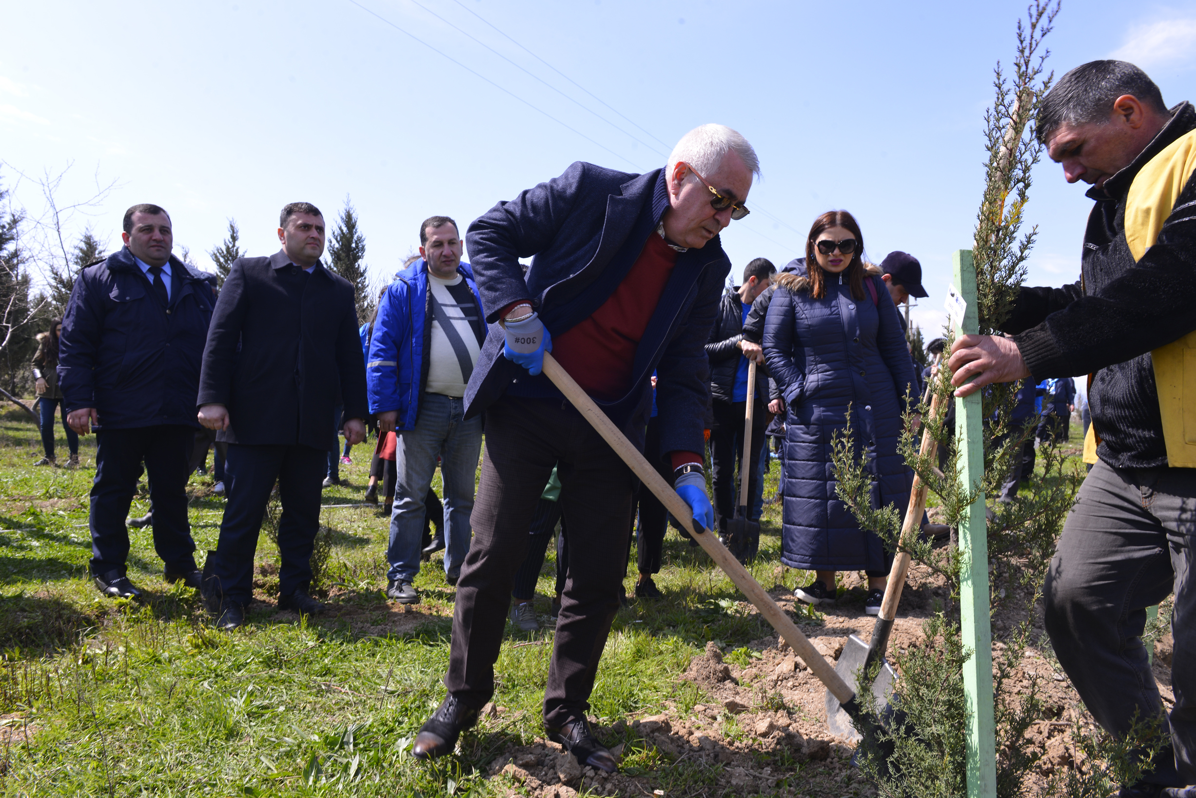 Cavid Qurbanov ağac əkdi - FOTOLAR