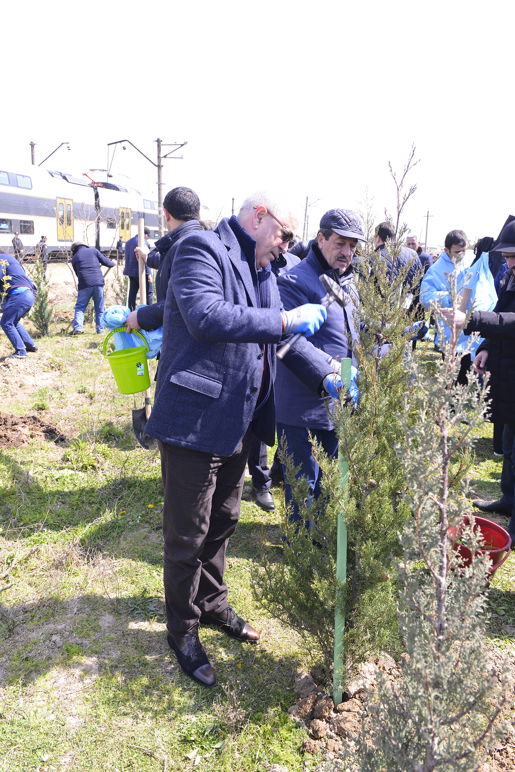 Cavid Qurbanov ağac əkdi - FOTOLAR