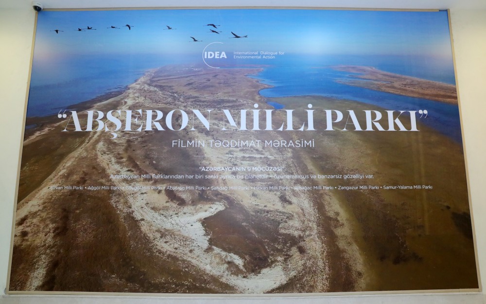 Leyla Əliyeva təqdimatda - FOTO