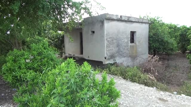 Təcavüz etsəm məni vur   deyən sevgilsini ov tüfəngiylə öldürdü