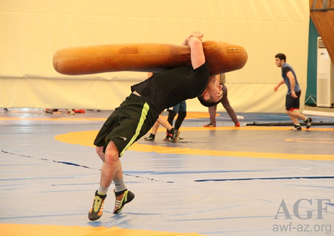  Millimiz Avropa çempionatına bu heyətlə gedir  - FOTO