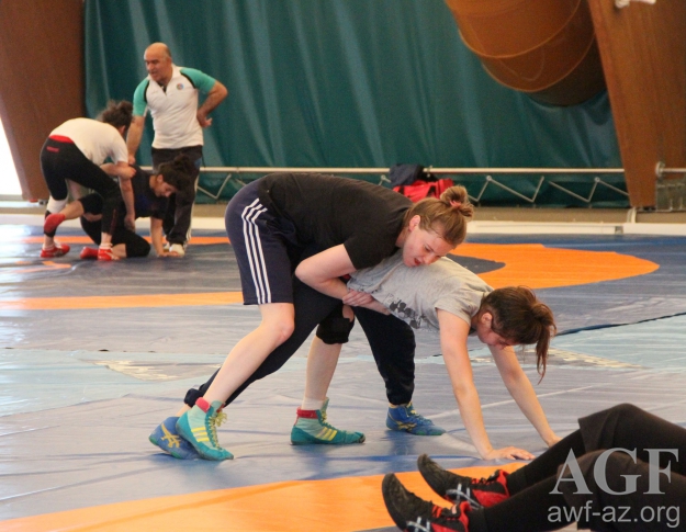  Avropa çempionatı üçün heyəti açıqlandı   - Qadın güləşi üzrə millinin 