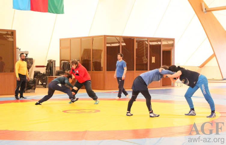  Avropa çempionatı üçün heyəti açıqlandı   - Qadın güləşi üzrə millinin 