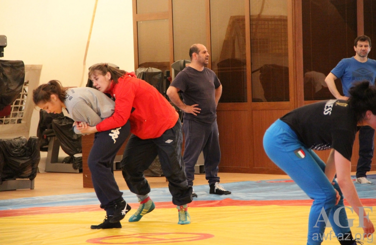  Avropa çempionatı üçün heyəti açıqlandı   - Qadın güləşi üzrə millinin 