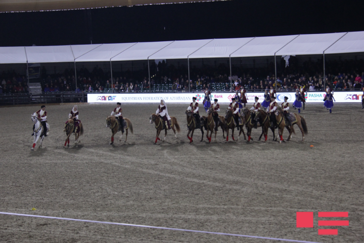 Qarabağ atları Böyük Britaniyada nümayiş etdirilib -  FOTOLAR