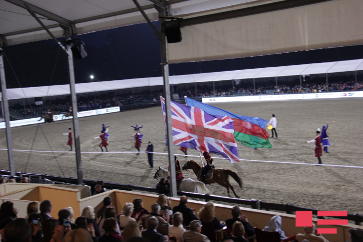 Qarabağ atları Böyük Britaniyada nümayiş etdirilib -  FOTOLAR