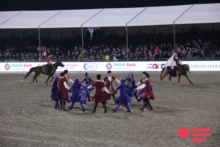 Qarabağ atları Böyük Britaniyada nümayiş etdirilib -  FOTOLAR